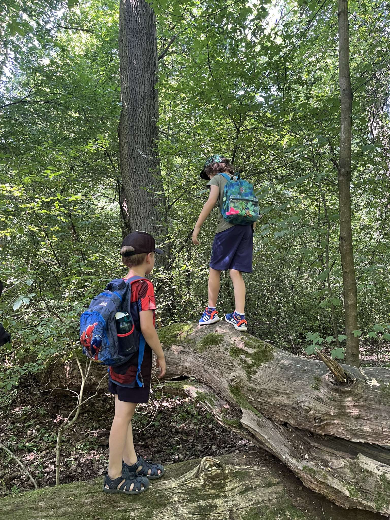 Życie szkoły Układanka