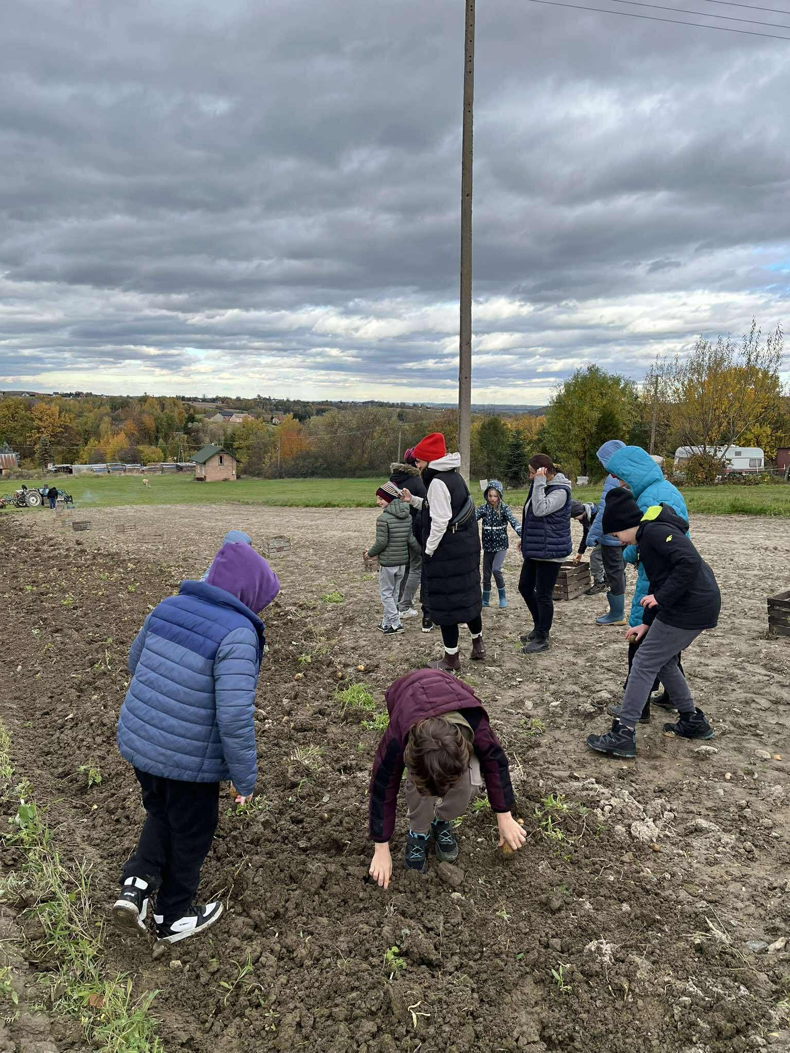 Życie szkoły Układanka