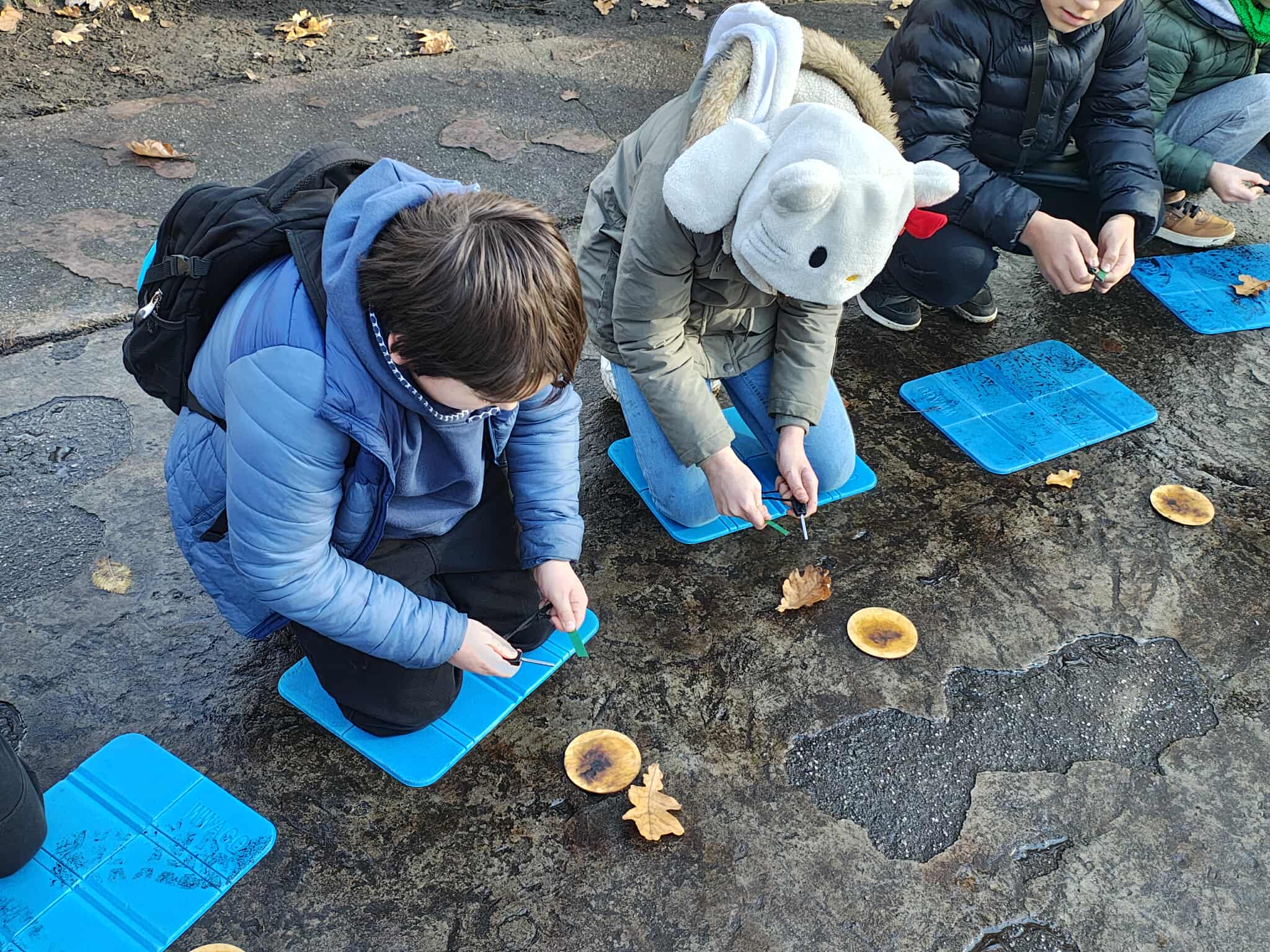 Życie szkoły Układanka