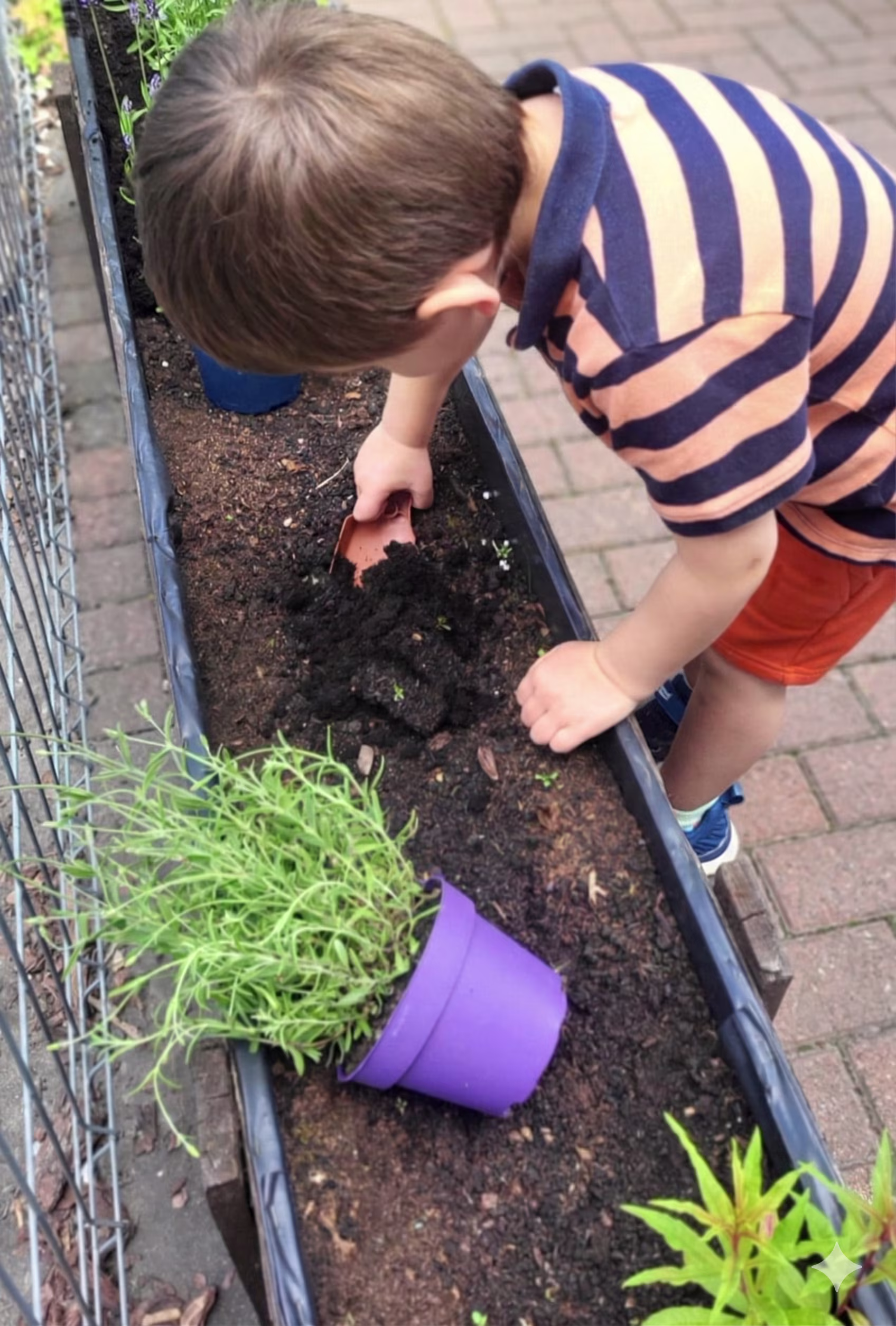 Chwile w Fistaszkach 15